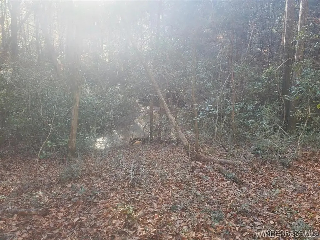 315 Barnes Mill Road Hartford AL 36344