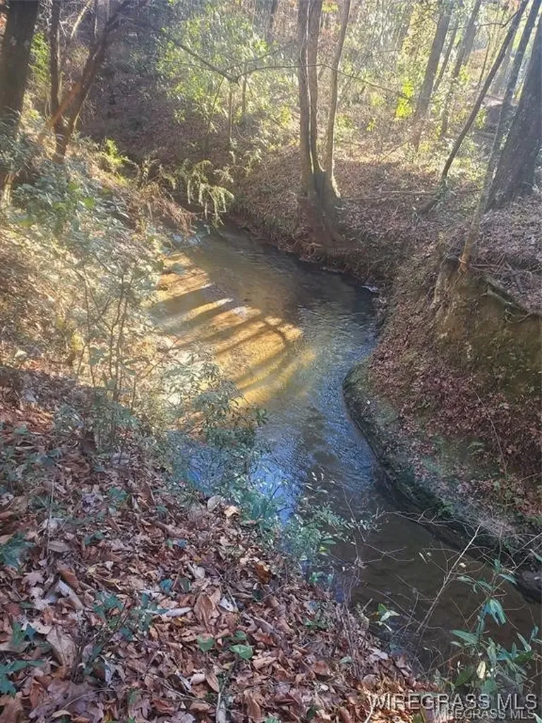 315 Barnes Mill Road Hartford AL 36344