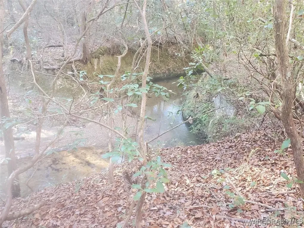 315 Barnes Mill Road Hartford AL 36344