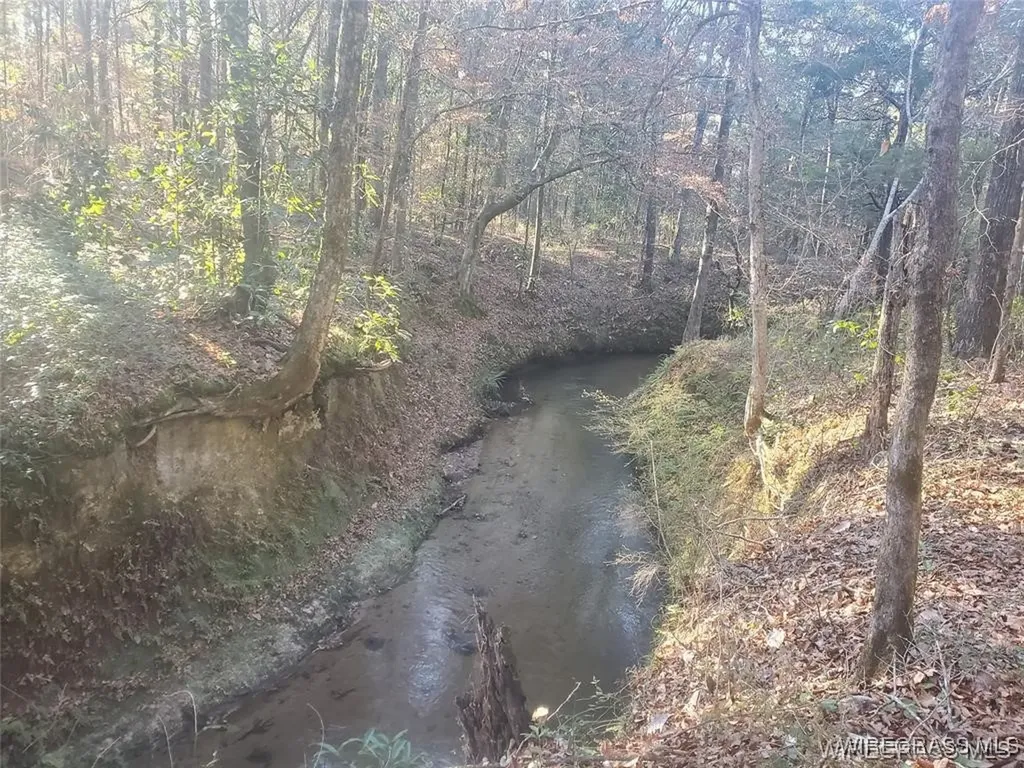 315 Barnes Mill Road Hartford AL 36344