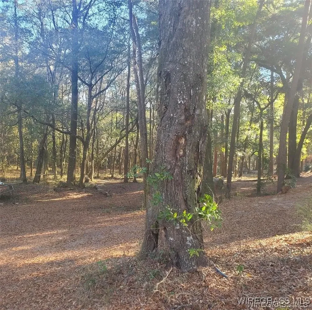 315 Barnes Mill Road Hartford AL 36344