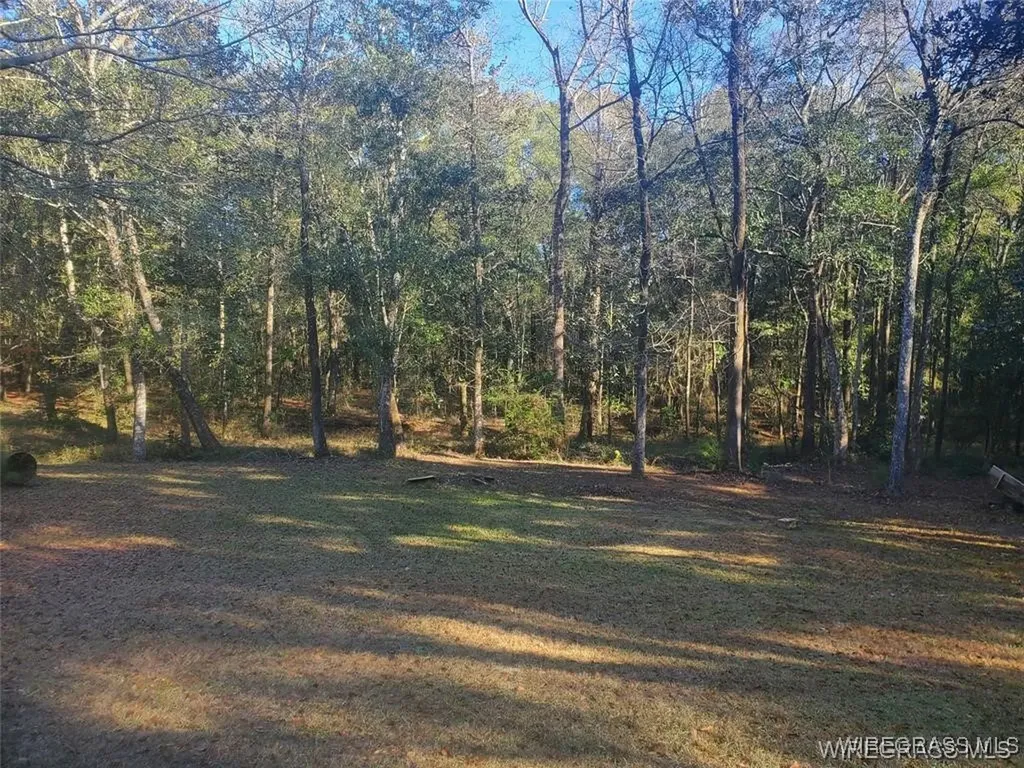 315 Barnes Mill Road Hartford AL 36344