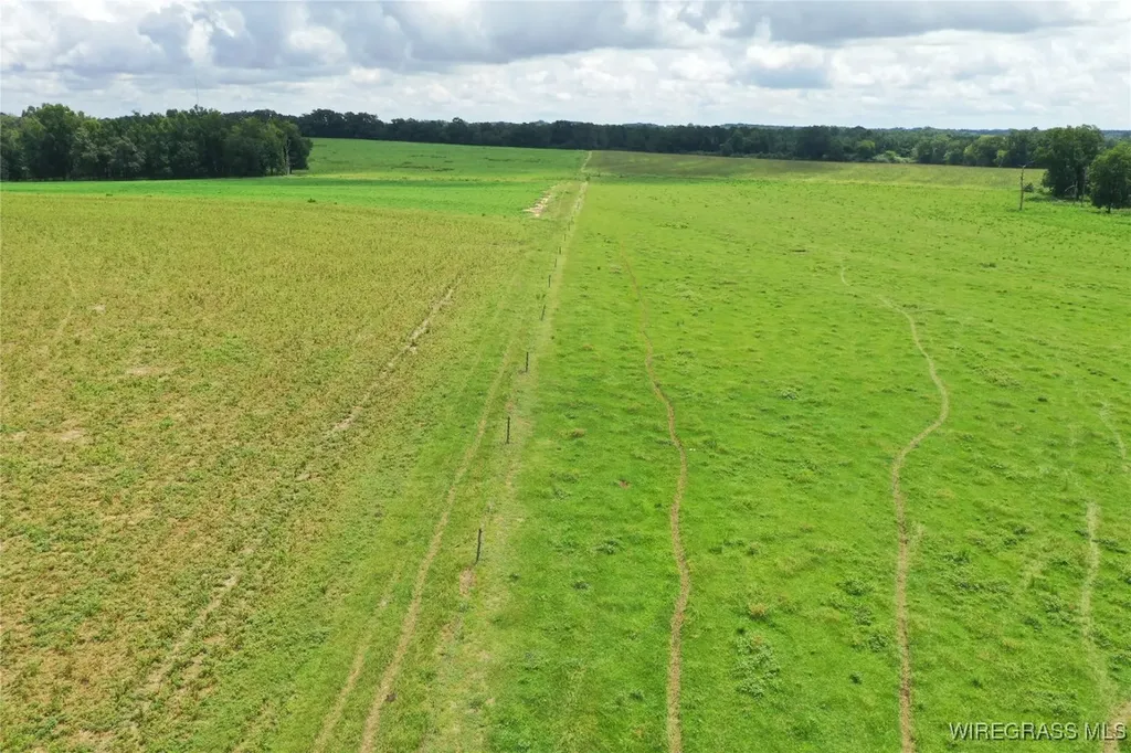 0 Jimbo Road Webb AL 36376