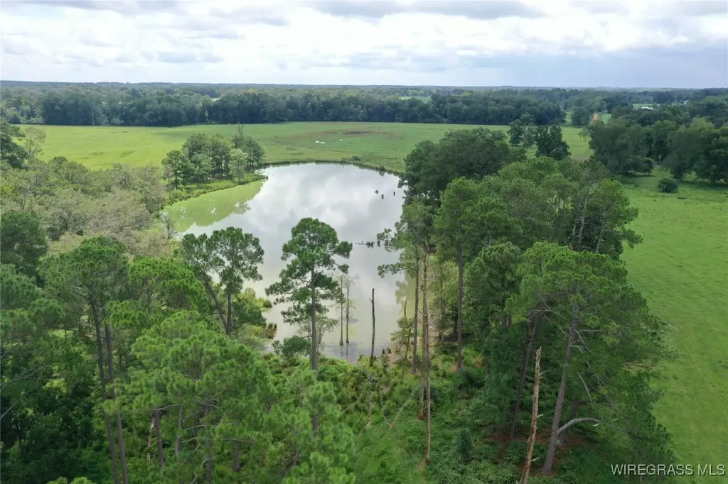 0 Jimbo Road Webb AL 36376