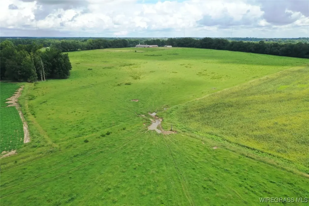 0 Jimbo Road Webb AL 36376