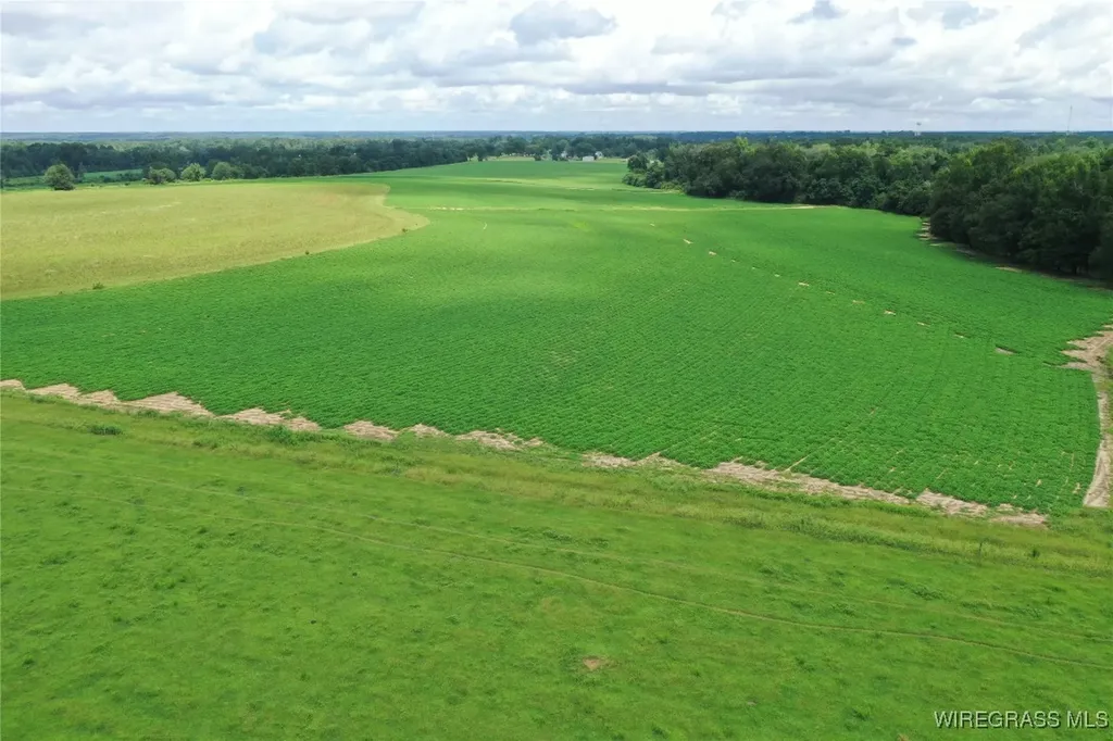 0 Jimbo Road Webb AL 36376