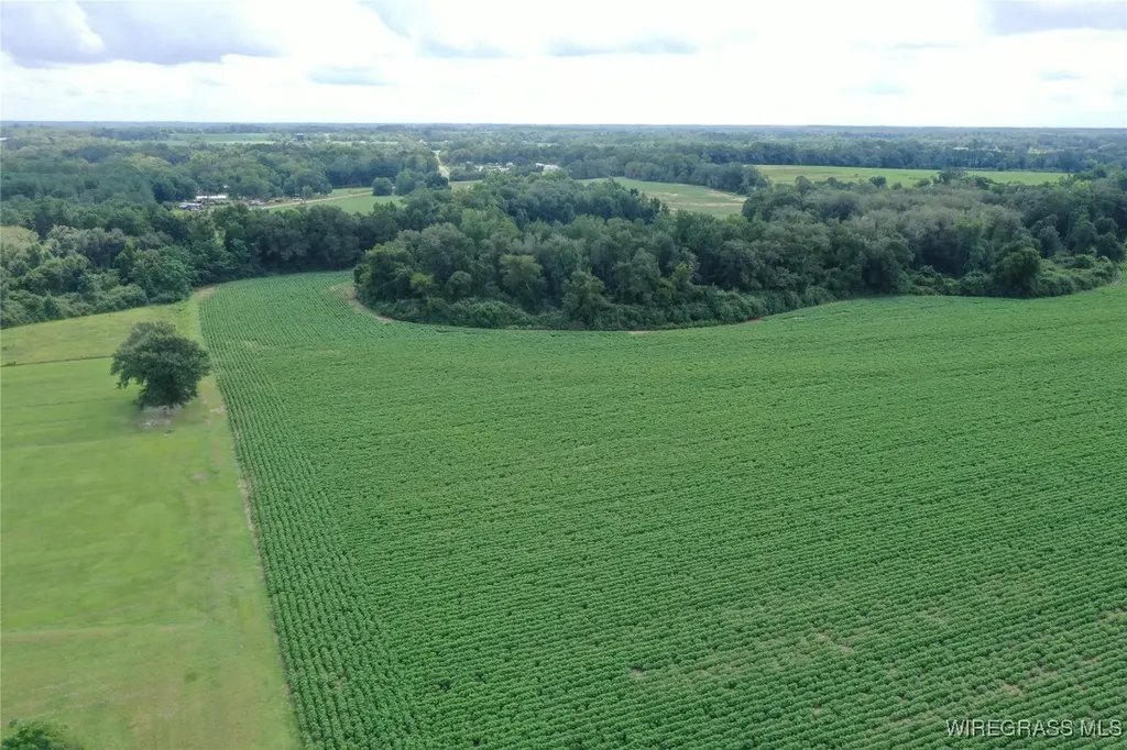 0 Jimbo Road Webb AL 36376