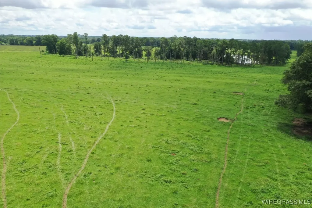 0 Jimbo Road Webb AL 36376