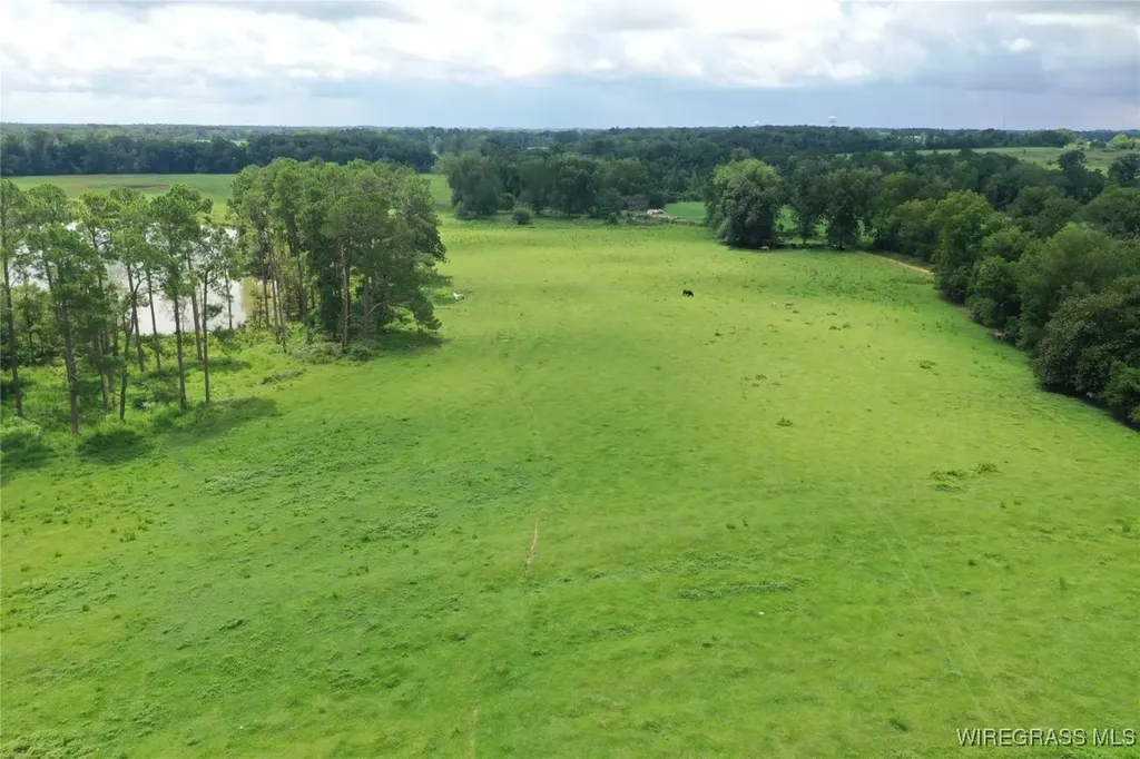 0 Jimbo Road Webb AL 36376