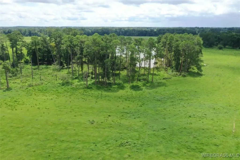 0 Jimbo Road Webb AL 36376