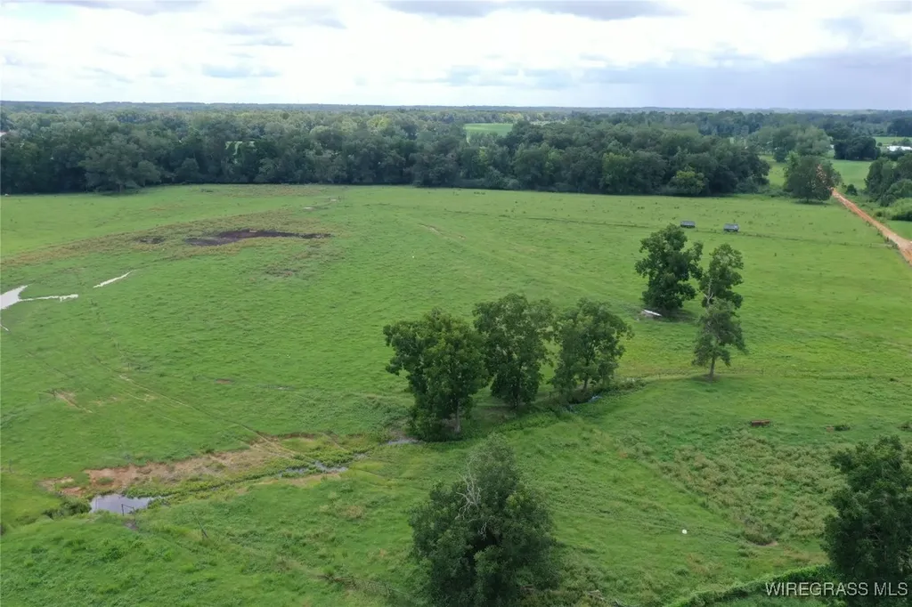 0 Jimbo Road Webb AL 36376