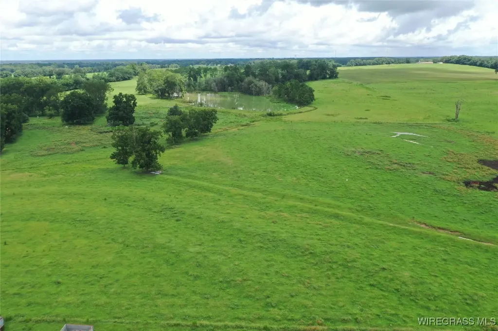 0 Jimbo Road Webb AL 36376