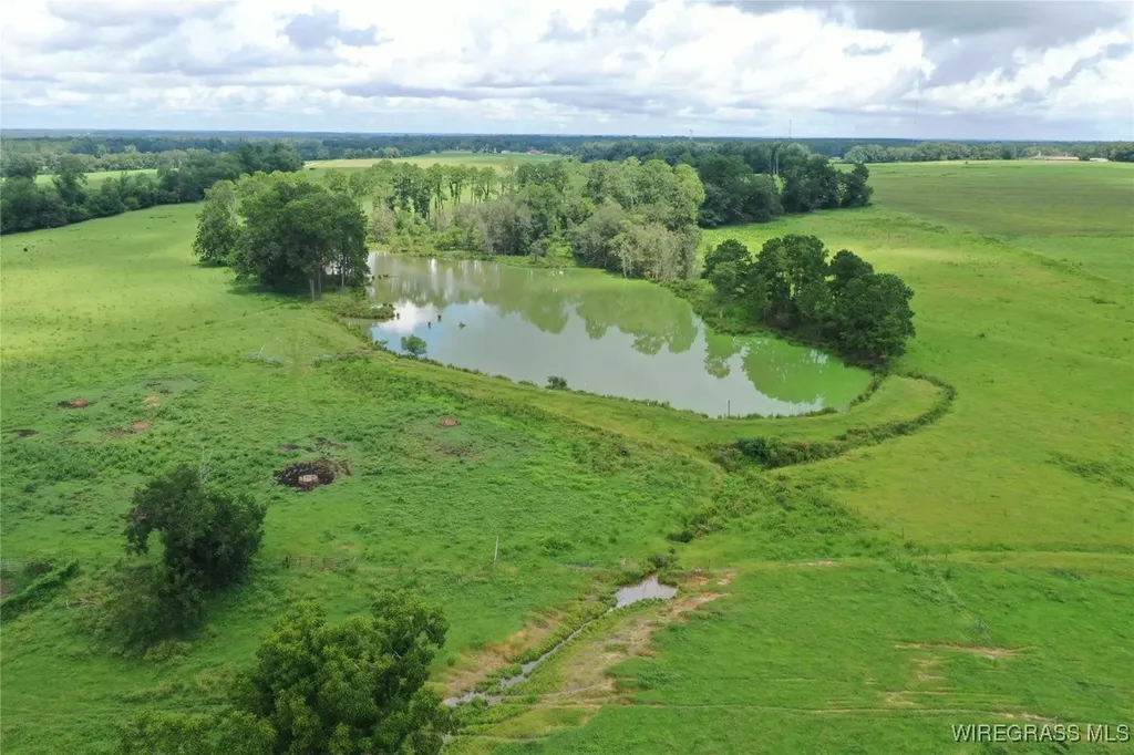 0 Jimbo Road Webb AL 36376