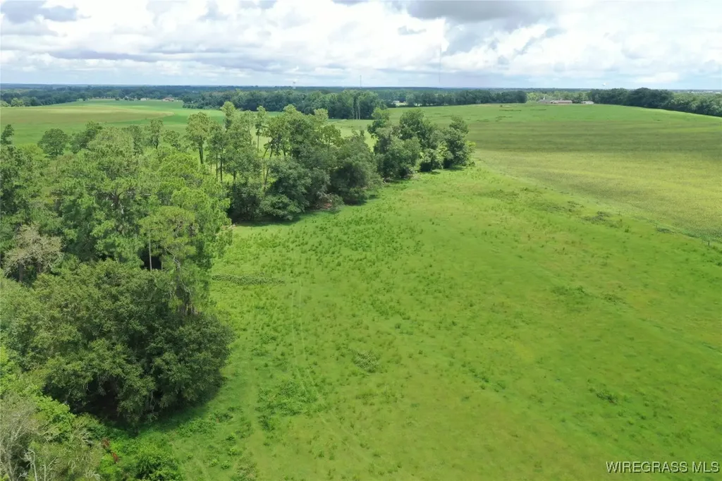 0 Jimbo Road Webb AL 36376