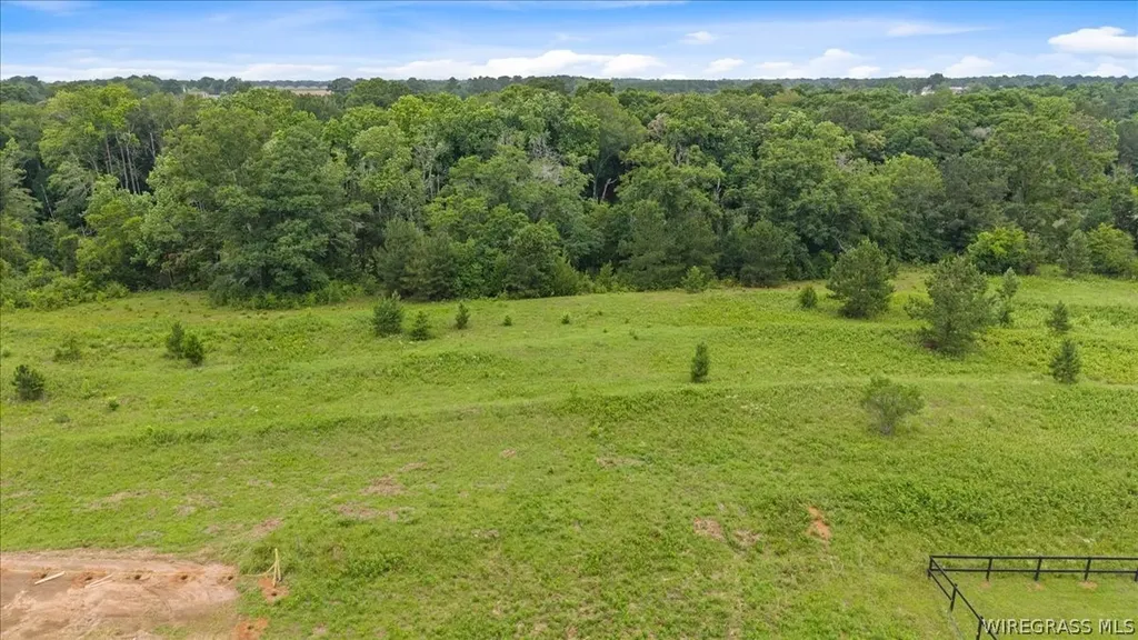 5136 Judge Logue Road Newton AL 35352