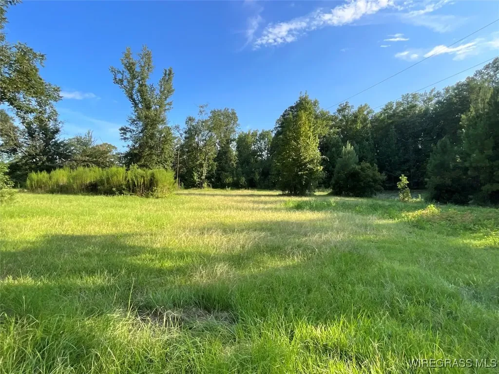 1095 White Oak Road Slocomb AL 36375