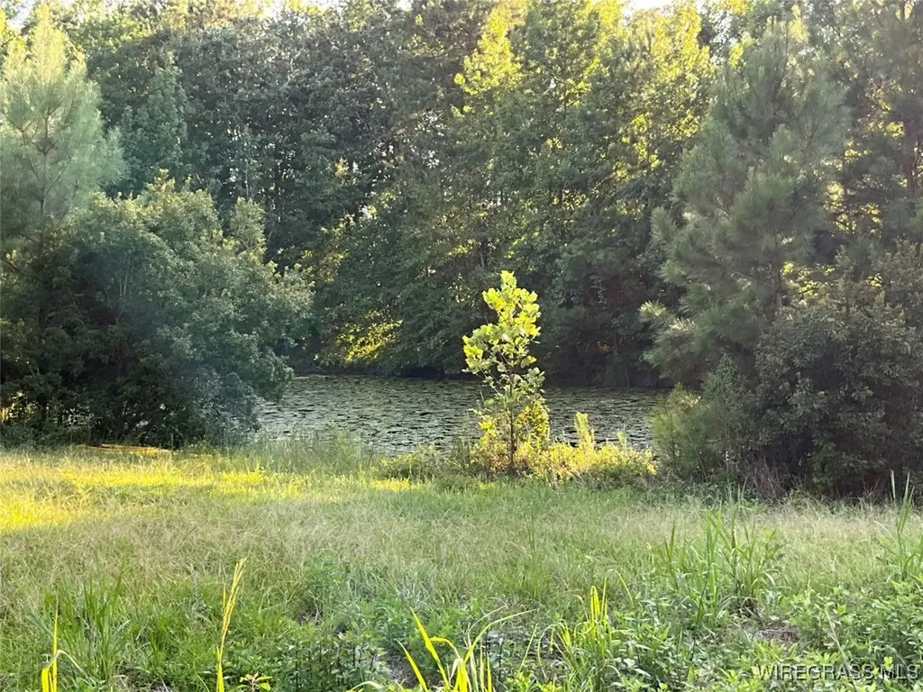 1095 White Oak Road Slocomb AL 36375