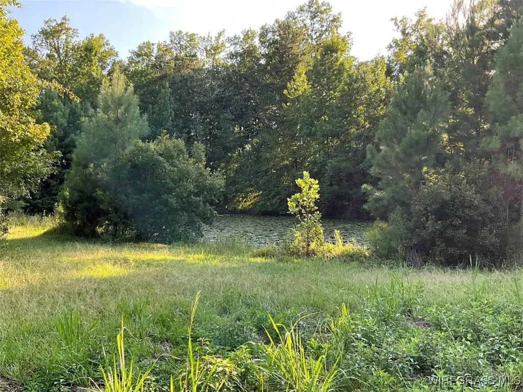 1095 White Oak Road Slocomb AL 36375