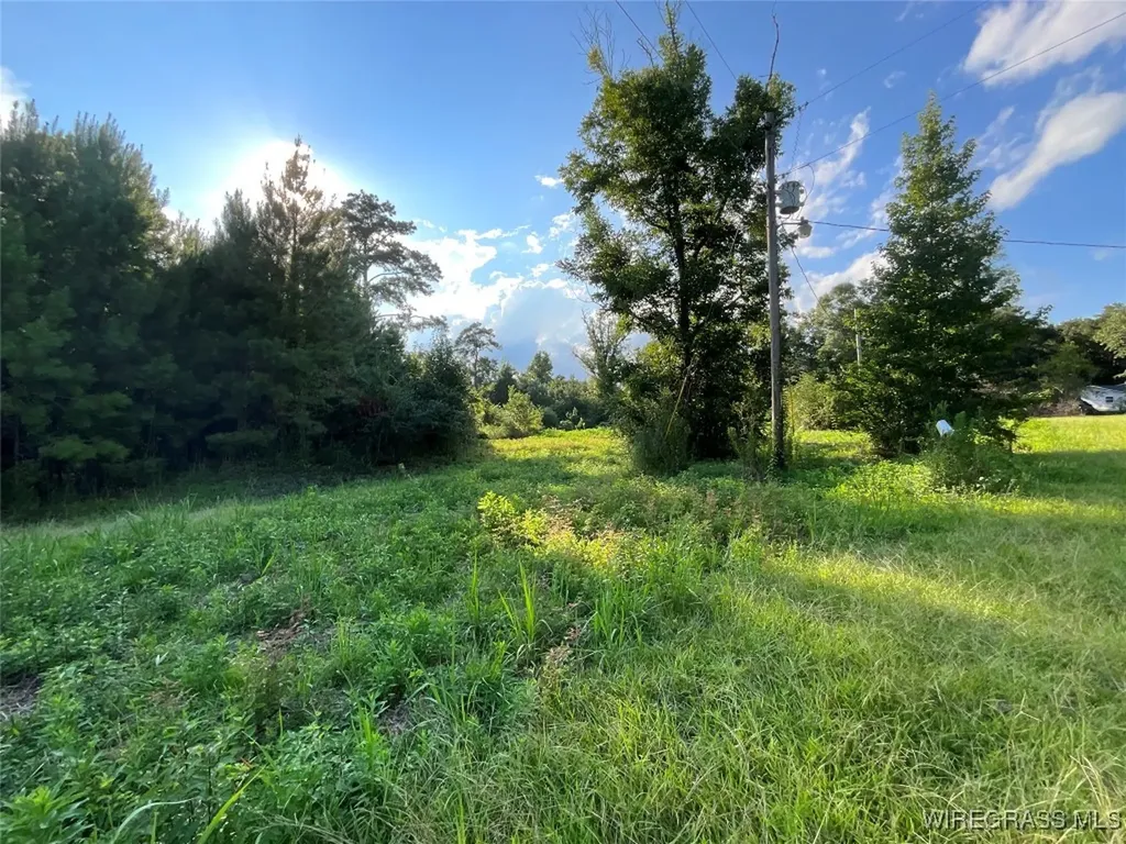 1095 White Oak Road Slocomb AL 36375