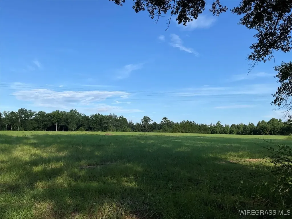 1095 White Oak Road Slocomb AL 36375