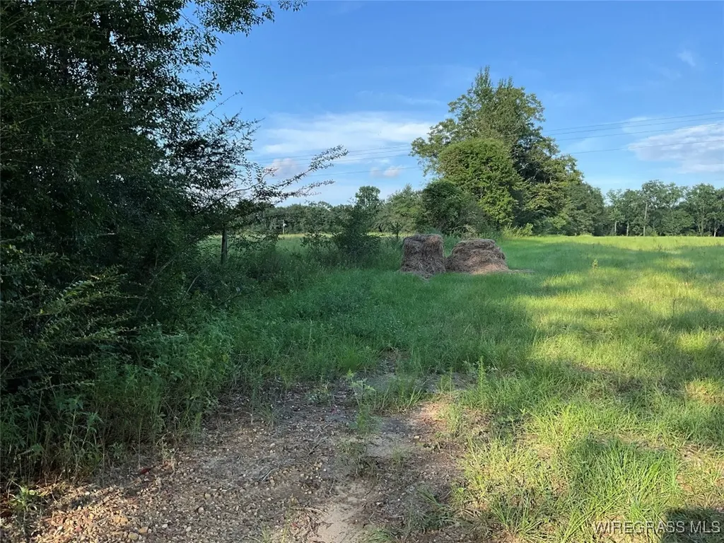 1095 White Oak Road Slocomb AL 36375