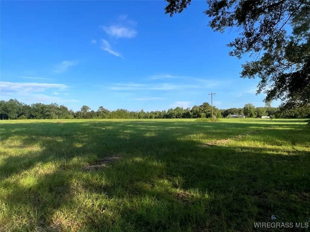 1095 White Oak Road Slocomb AL 36375