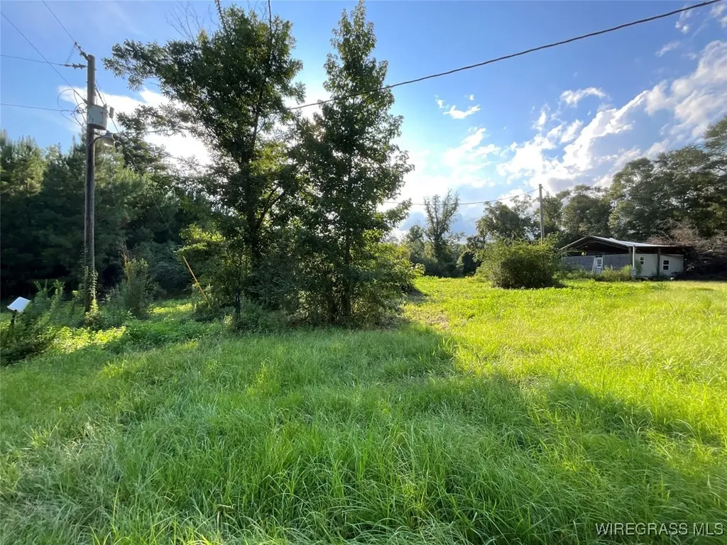 1095 White Oak Road Slocomb AL 36375