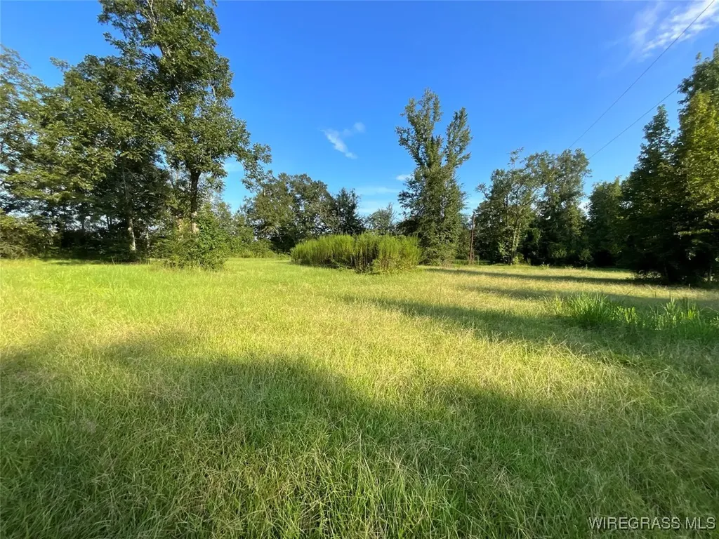 1095 White Oak Road Slocomb AL 36375