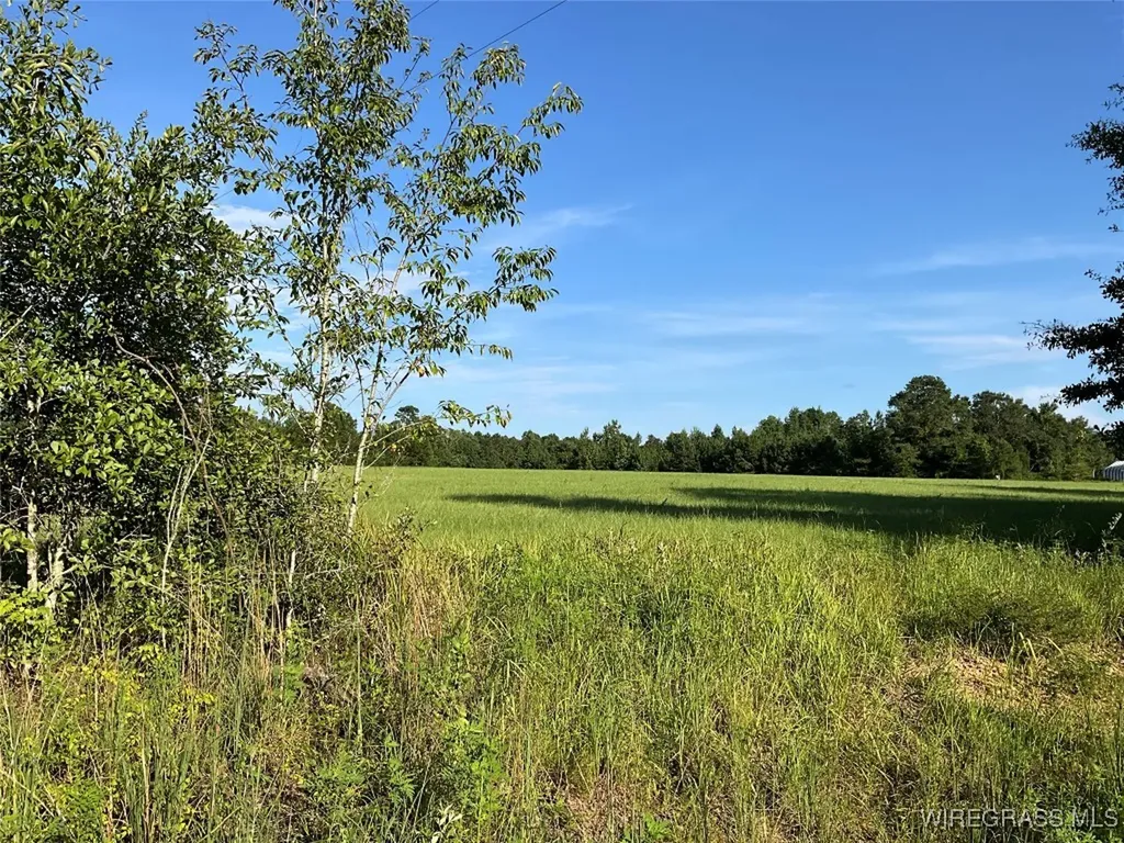 1095 White Oak Road Slocomb AL 36375