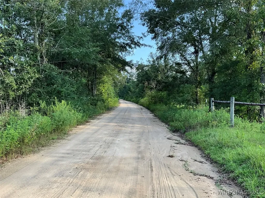 1095 White Oak Road Slocomb AL 36375