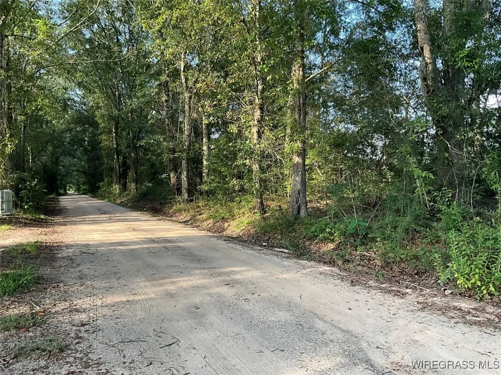 1095 White Oak Road Slocomb AL 36375