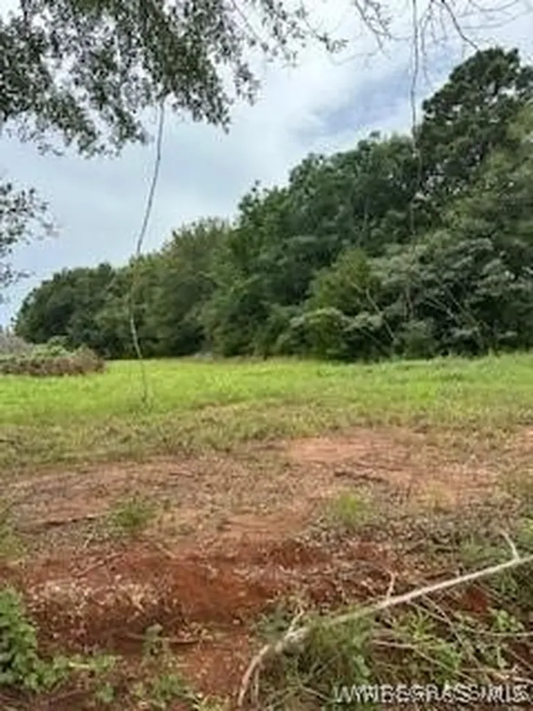 19 County Road 613 New Brockton AL 36351