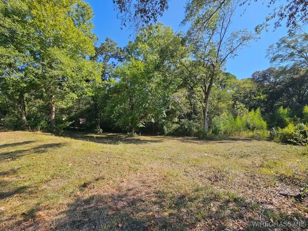 602 N Union Avenue Ozark AL 36360