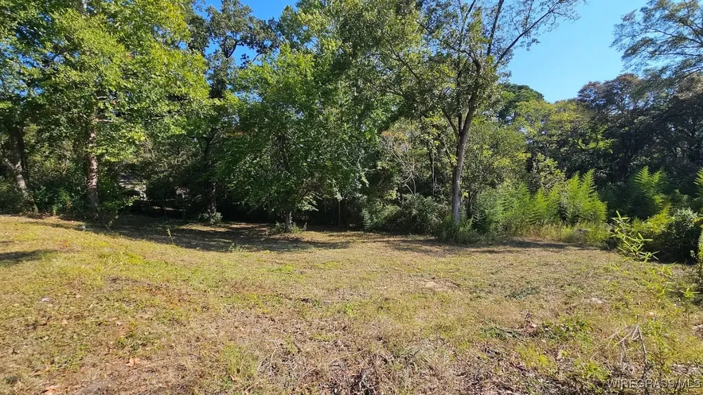 602 N Union Avenue Ozark AL 36360