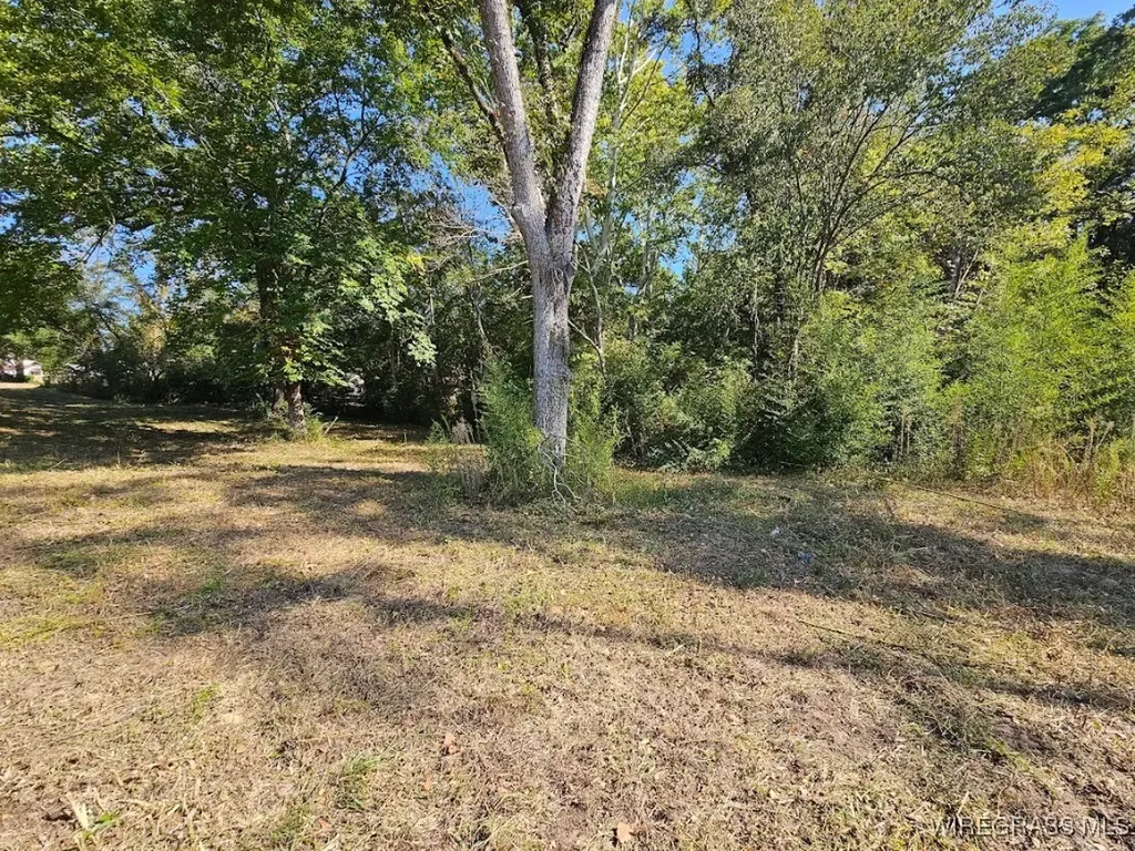 602 N Union Avenue Ozark AL 36360