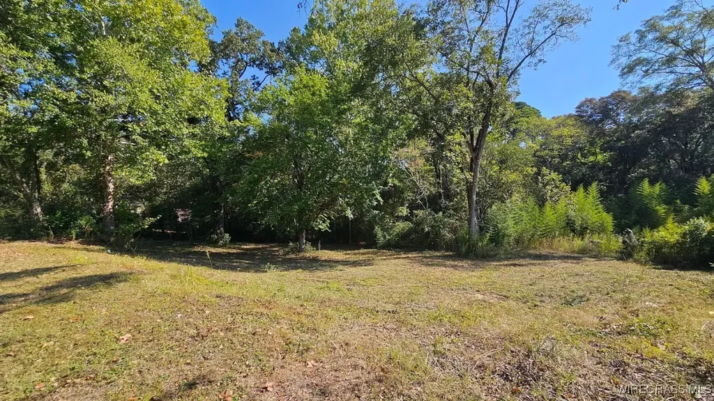 602 N Union Avenue Ozark AL 36360