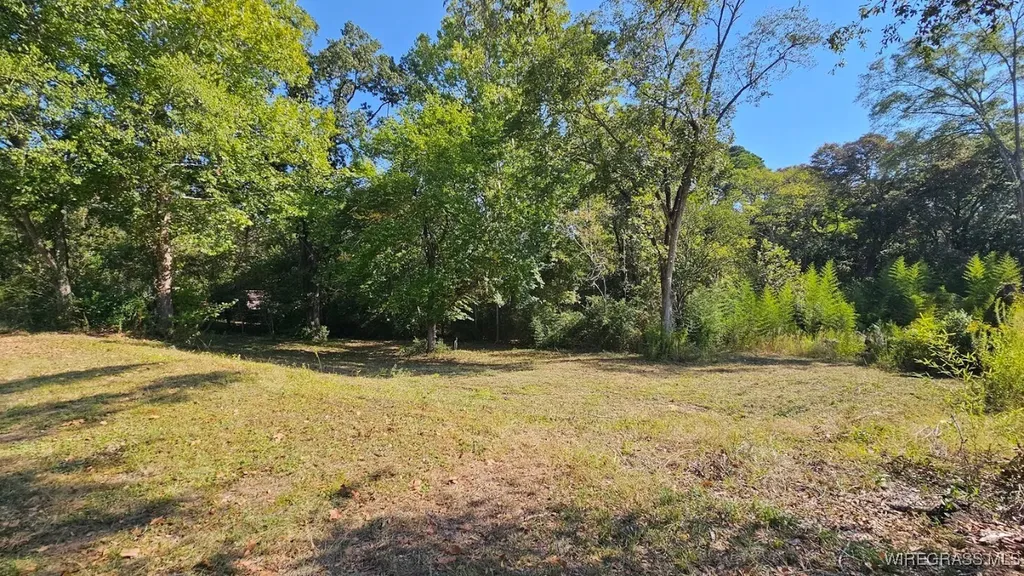 602 N Union Avenue Ozark AL 36360