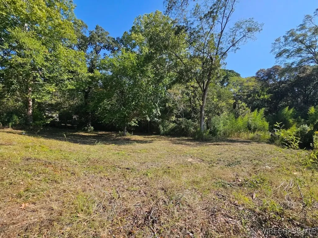 602 N Union Avenue Ozark AL 36360