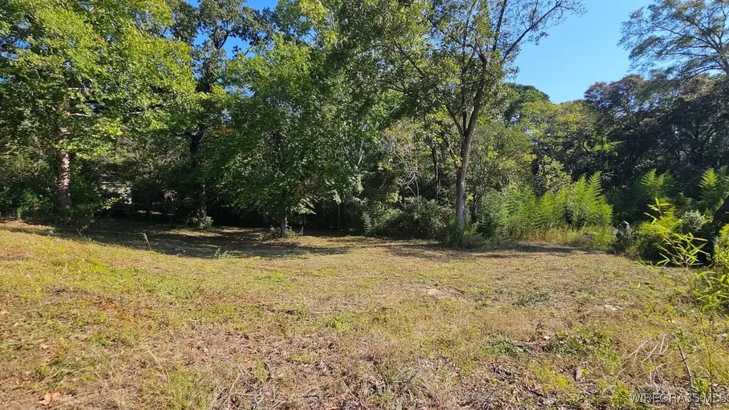 602 N Union Avenue Ozark AL 36360