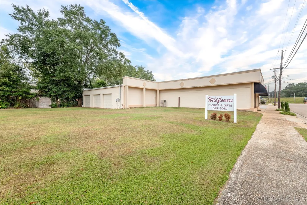 300 Buford Street Elba AL 36323
