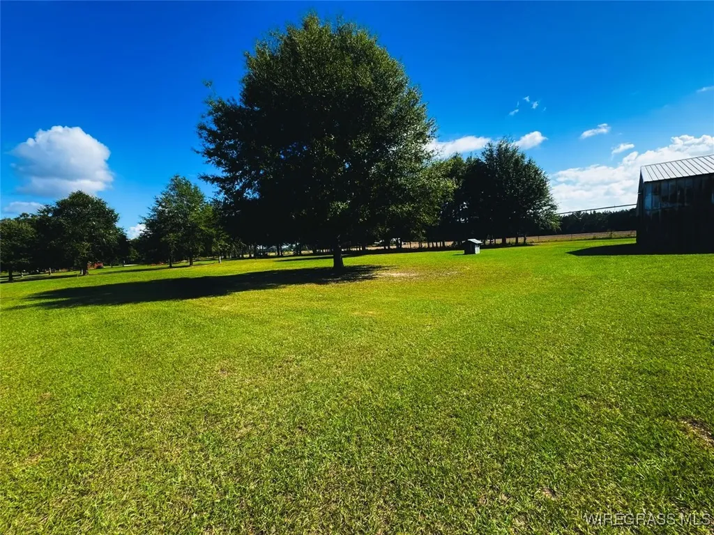 1716 Burl Lee Road Cottonwood AL 36320