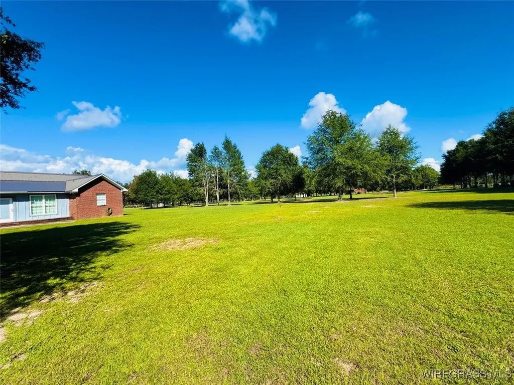 1716 Burl Lee Road Cottonwood AL 36320