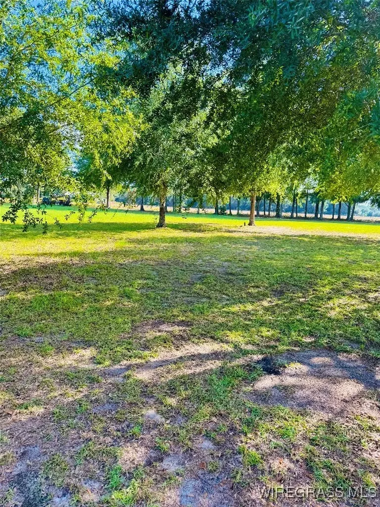 1716 Burl Lee Road Cottonwood AL 36320