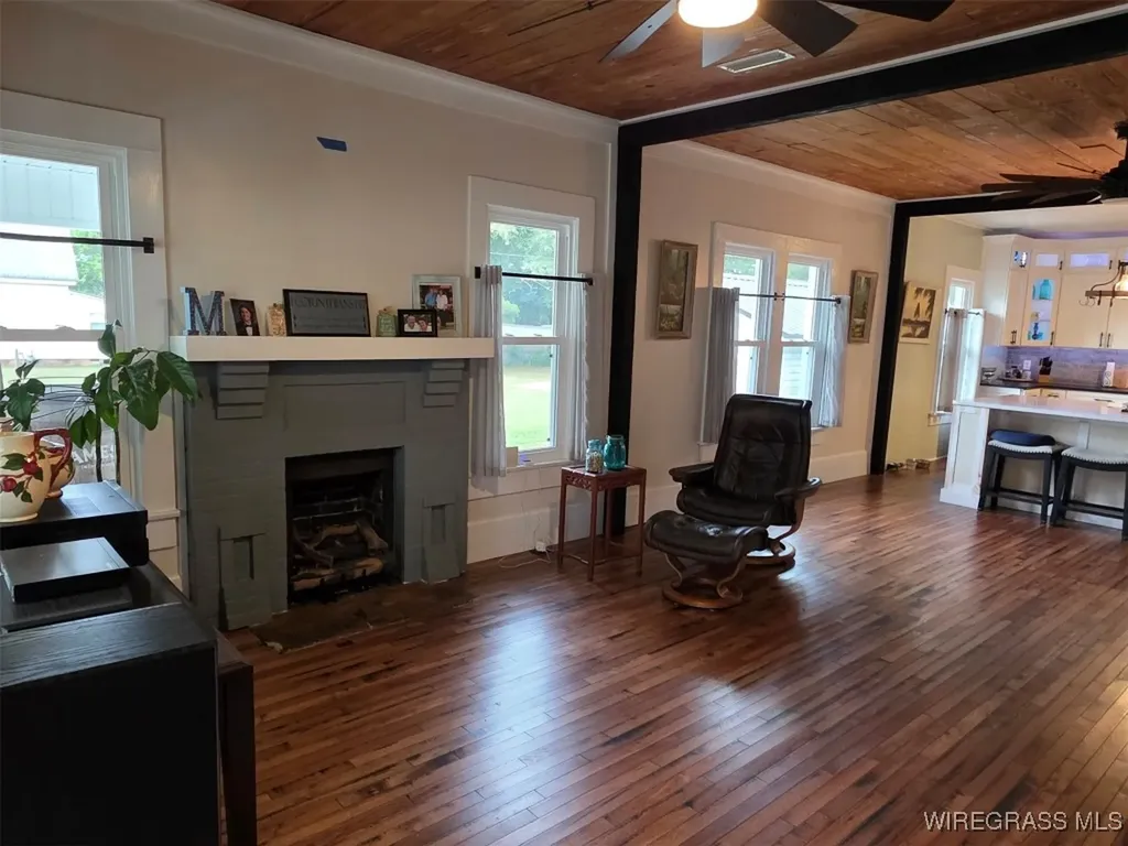 111 S Johnson Street Samson AL 36477