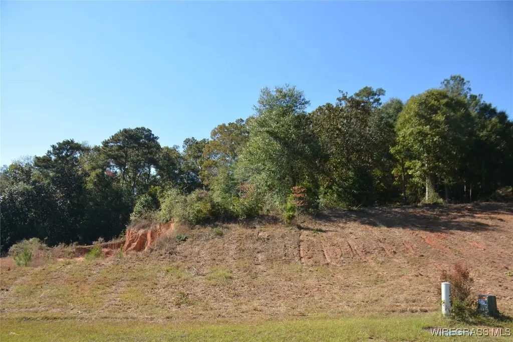 0 Cedar Grove Lane Enterprise AL 36330