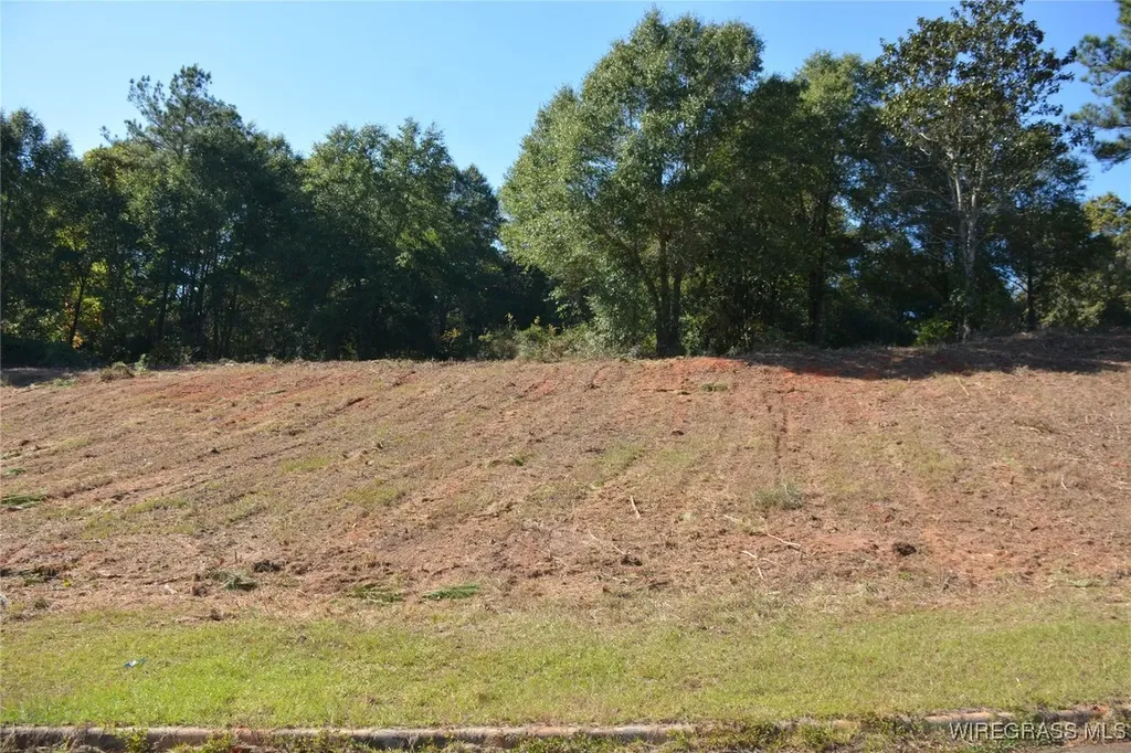 0 Cedar Grove Lane Enterprise AL 36330