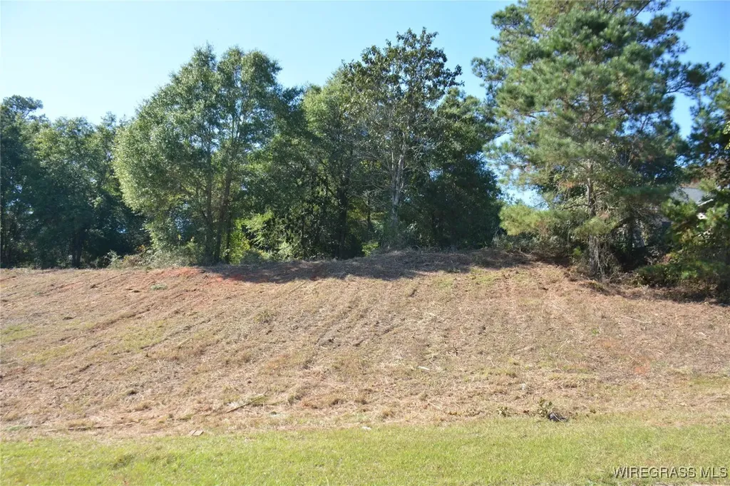 0 Cedar Grove Lane Enterprise AL 36330