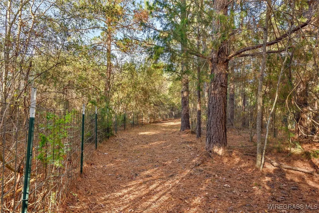 1180 County Road 223 Jack AL 36346