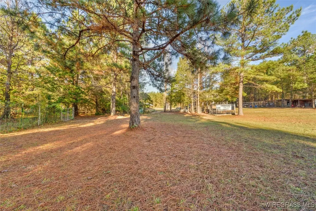 1180 County Road 223 Jack AL 36346