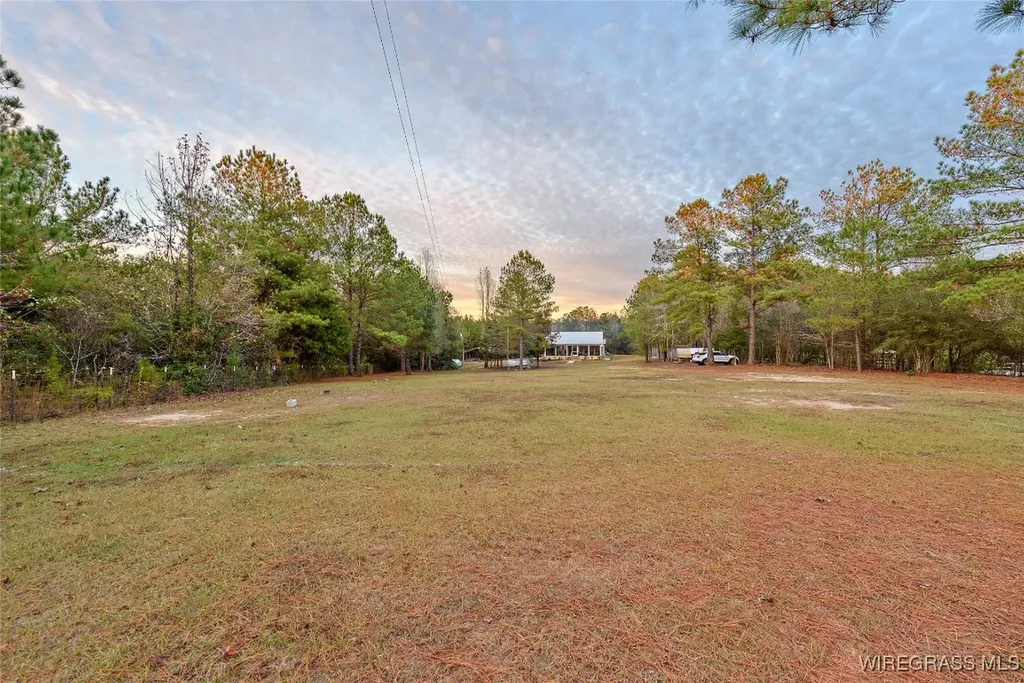 1180 County Road 223 Jack AL 36346